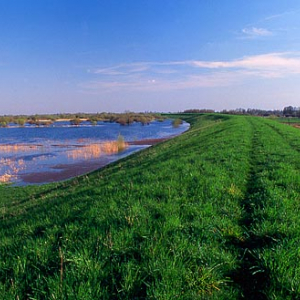 Zulawy - wal przeciwpowodziowy na Wisle